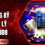 Đăng Ký Đại Lý Mg188 - Cơ Hội Hợp Tác Vô Cùng Tiềm Năng